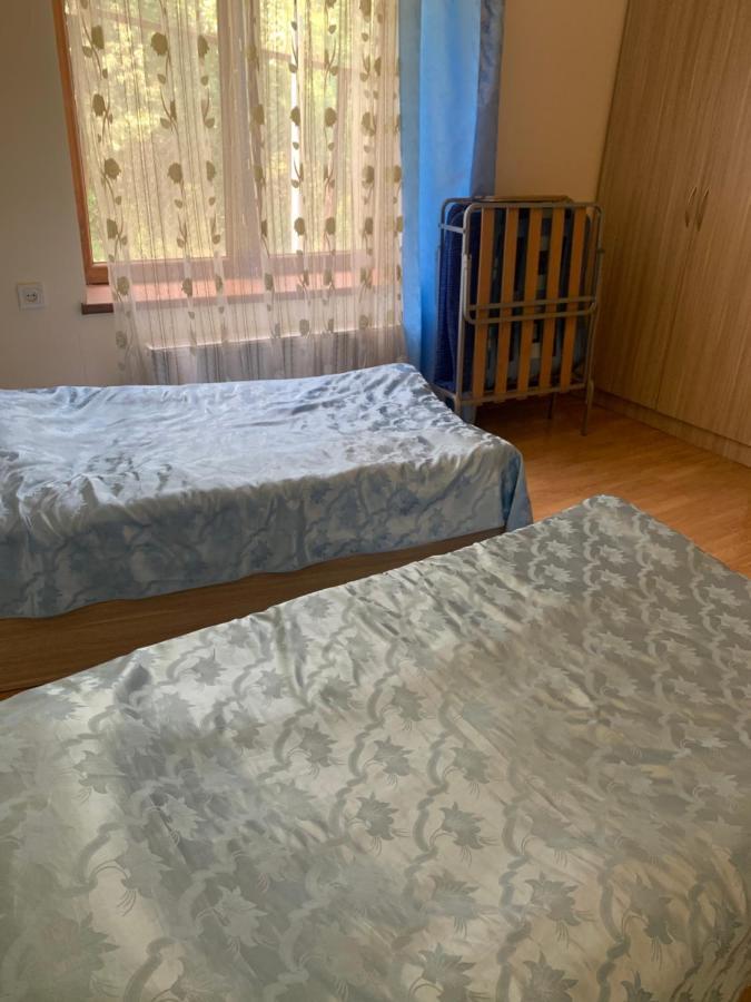 Artyomi Toon Διαμέρισμα Dilijan Εξωτερικό φωτογραφία